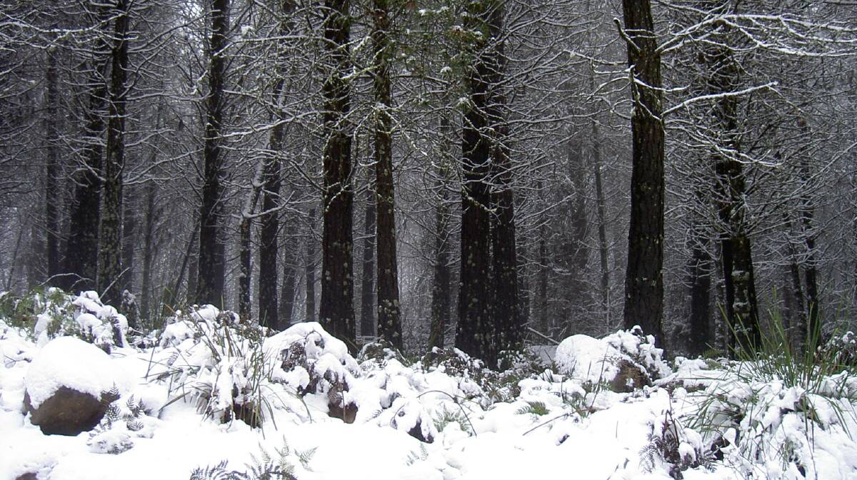 Snow is expected over the next several days at the Barrington Tops. 
