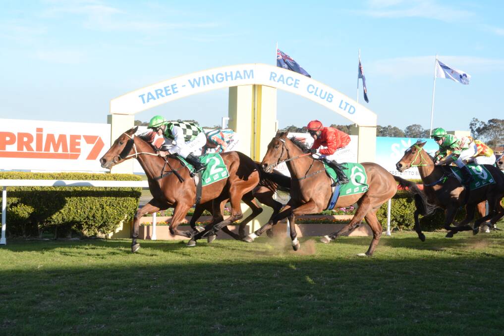 Gold cup: Taree Wingham Race Club's premium racing event the Taree Cup begins Friday at the Bushland Drive track.  