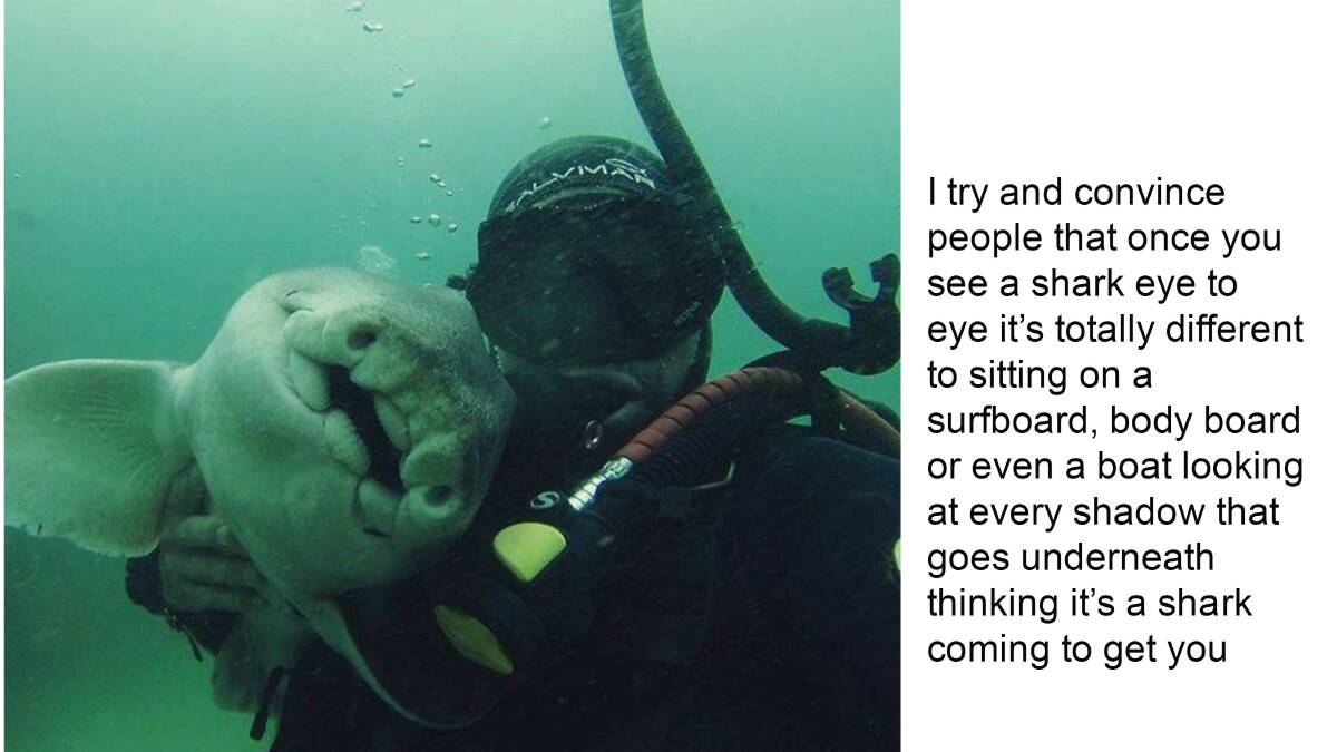 Playful: Rick Anderson has been diving for 26 years and wants people to know that sharks can be friendly. Mr Anderson is pictured with his favorite Port Jackson shark. Photo: Rick's Dive School.  CLICK THE PHOTO TO READ THE STORY AND SEE A VIDEO