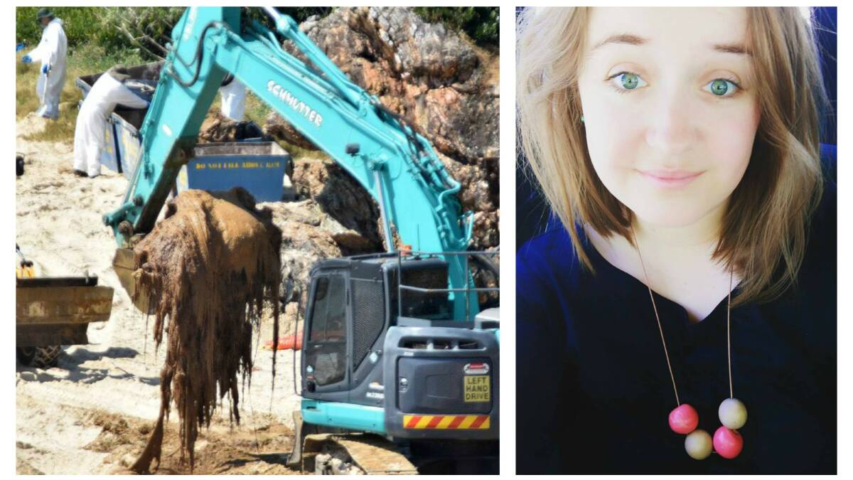 A dead whale was buried, and later exhumed, from a Port Macquarie beach and new rectruit Laura Telford covered the unfolding story.