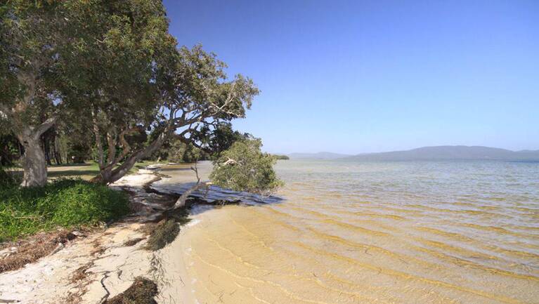 The 'Great Lakes Great Walk and Aquatic Trails’ project involves development of an internationally significant Great Walk along a 100km stretch of the coast between Forster and Hawks Nest, incorporating Myall Lakes and Booti Booti National Parks. Photo: Office of Environment Heritage.