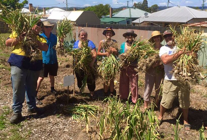 Taree Community Garden horticultural consultant Darren Harrison (right) with the team of volunteers who worked on the first garlic harvest on November 27.