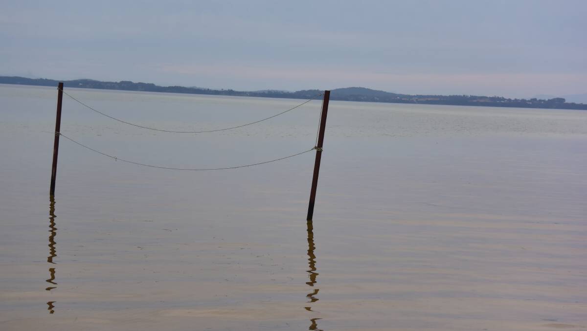 In front of what was Ripples, these nets on Wallis Lake aren't likely to see any use for quite some time.