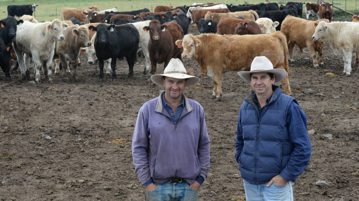NEW TARGET: Steve Gill and Pat Ryan at the feedlot, the iniative now has the potential to raise in excess of $1million.