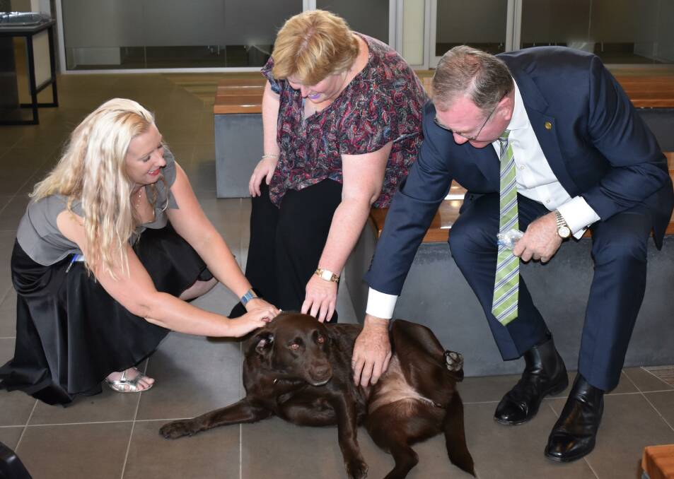 Comforting canine: Anna Scene, Kerry Webb and Stephen Bromhead with Zoe the Labrador.
