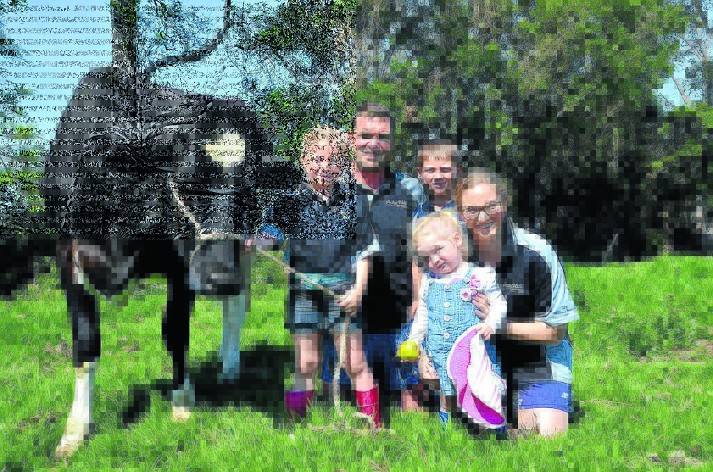 Family fun at the show: Ruby, Murray, Lachlan, Isabella and Jane Polson with cow Stanley Cup Cressy. The family especially the children are looking forward to showing at Taree Show this weekend.