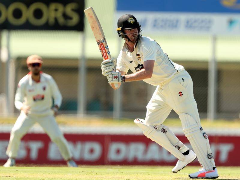 Ashton Turner's 79 has helped a West Australian fightback in the Sheffield Shield match against SA.