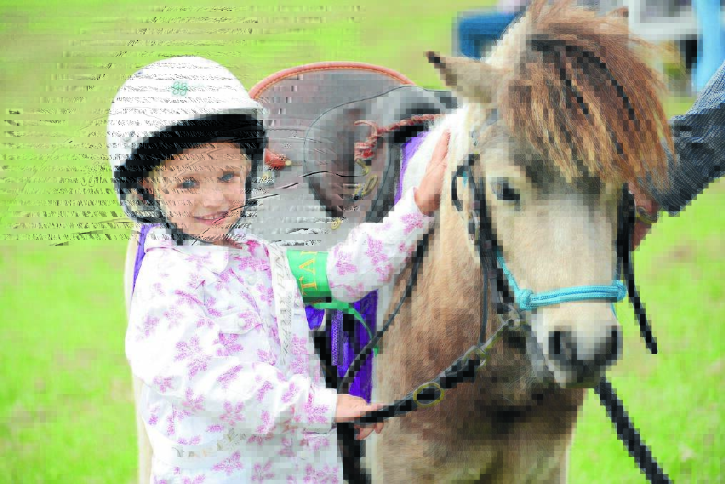Hayley Young with horse Montana on the first day of the Taree Show, Friday, October 9. 
Want more? The Manning River Times photographers, Scott Calvin and Carl Muxlow were there for all three days of the Taree Show and galleries of their photos can be found on our web page.