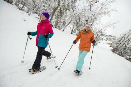 Mt Buller residents Gillian Dobson and Niki Donaldson enjoy a fresh and scenic snowshoe walk around the village. Photo:  Andrew Railton Photo: Andrew Railton