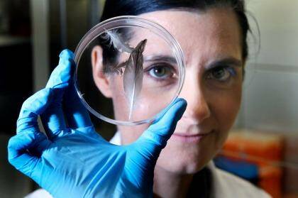 Dr Rebecca Johnson has been appointed the new head of the Australian Museum Research Institute. Photo: Brendan Esposito