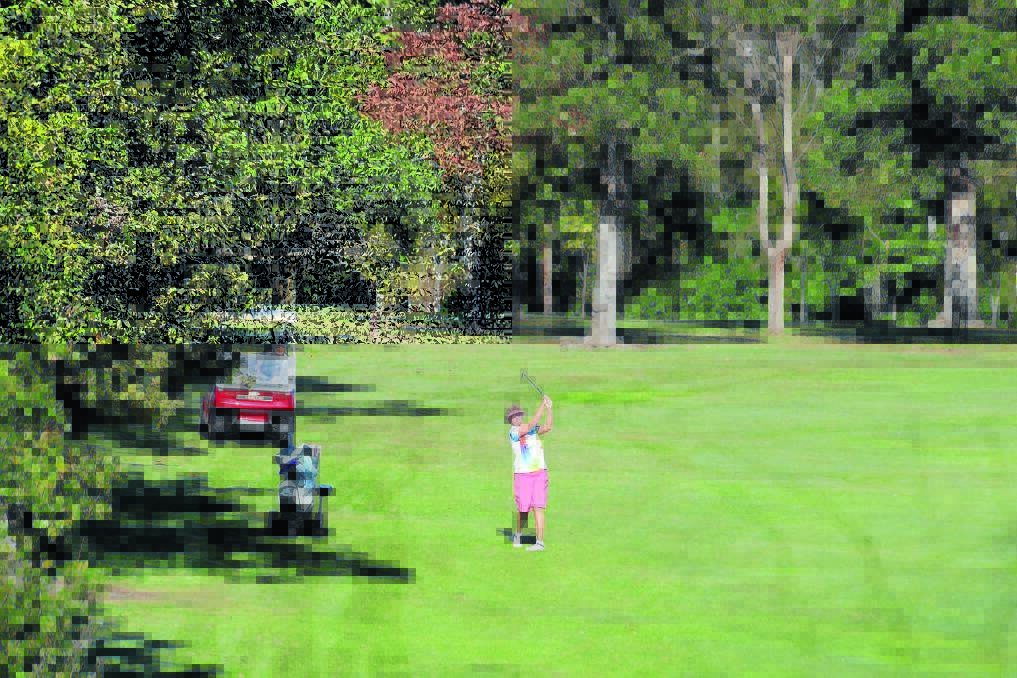 Taree women's golf club champion Cindy Googh plays a fairway shot during the last round of the event.
