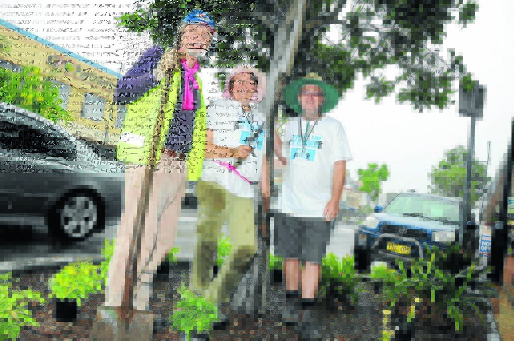 Acclaimed horticulturalist Meredith Kirton worked side-by-side with Tidy Up Taree organiser, Graham Brown (right) and Ted Hunt to transform parts of Taree's central business district. She is set to return to contribute to the landscaping makeover of Victoria Street.