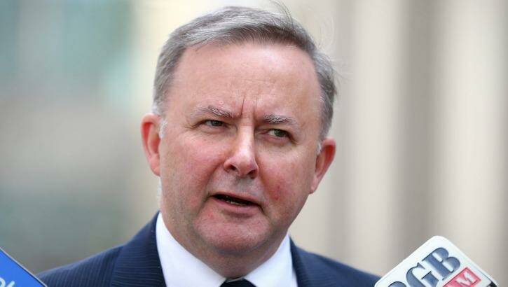 "Quite clearly [Kimberley Kitching] had the support of some significant figures from the Victorian branch and that's a matter for them": NSW Labor frontbencher Anthony Albanese Photo: Alex Ellinghausen