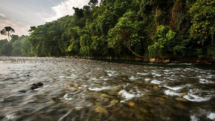 A river in the Leuser Ecosystem. Photo: Paul Hilton for Rainforest Action Network/Leonardo DiCaprio Foundation