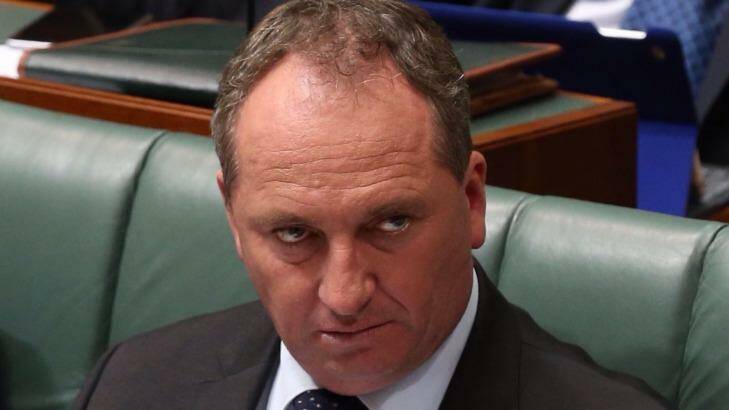 Agriculture Minister Barnaby Joyce has warned that a ban on halal certification would render the meat export industry "unviable". Photo: Andrew Meares
