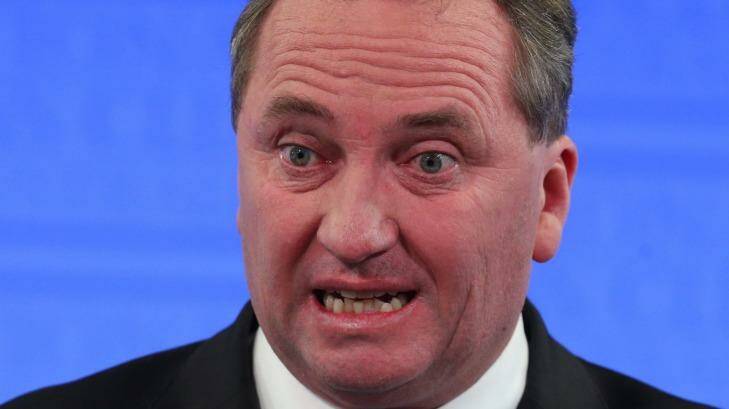 'It's not unreasonable that Bronwyn Bishop  will have someone help her drive' ... Barnaby Joyce. Photo: Andrew Meares