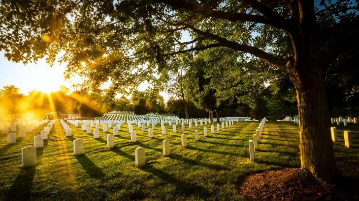 A late afternoon walk in Arlington Cemetery, where more than 300,000 people are buried. Photo: Marc Perrella