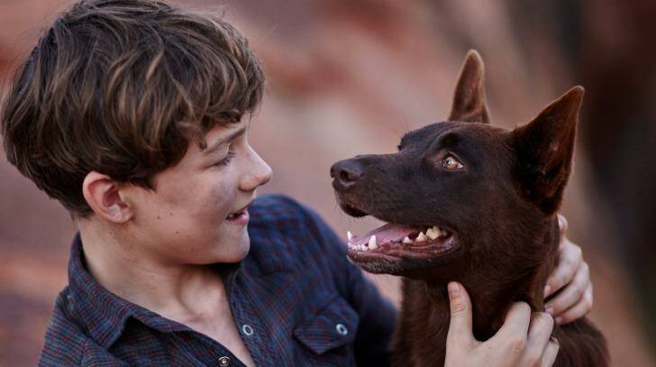 Levi Miller will play Mick, a boy living on a Pilbara cattle station in the 1960s.