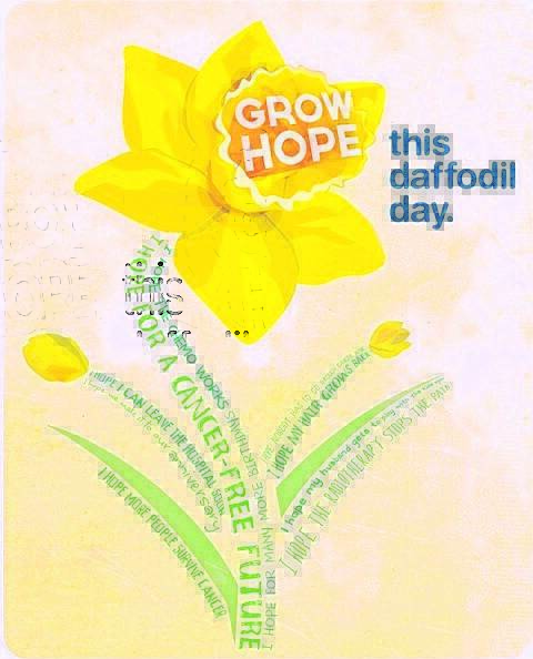 Today is Daffodil Day!