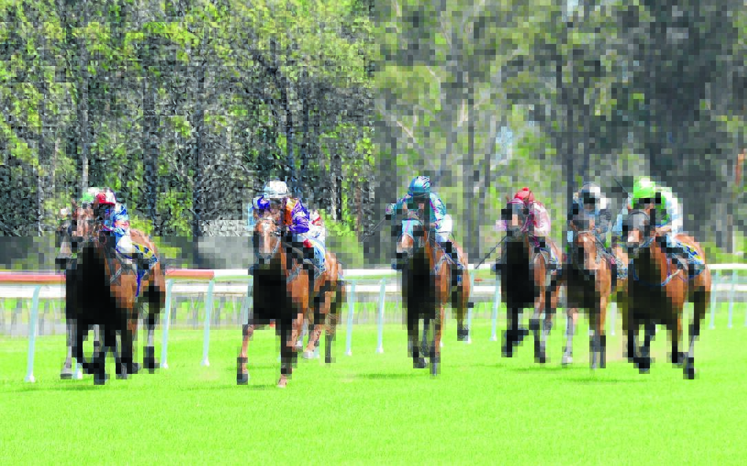 The field thunders for home during an event at Taree-Wingham Race Club this year. The 40th anniversary of the opening of the Bushland Drive track will be celebrated during the October long weekend.