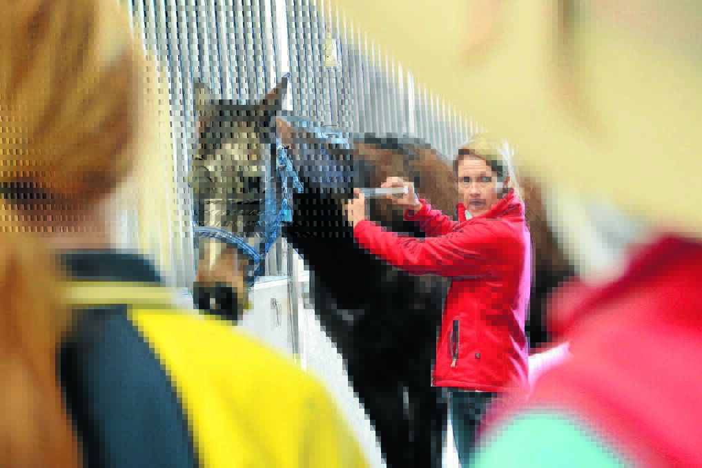 "By coming and working at the facility it ensures our students go into the industry aware of and implementing best practice work health safety procedures," says equine teacher, Linda Molloy.
