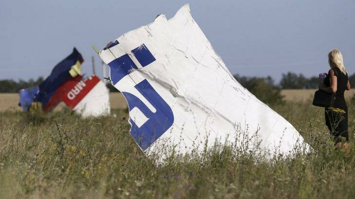 MH17 wreckage: 298 people, including 39 Australians, were killed in the tragedy. Photo: Sergei Karpukhin
