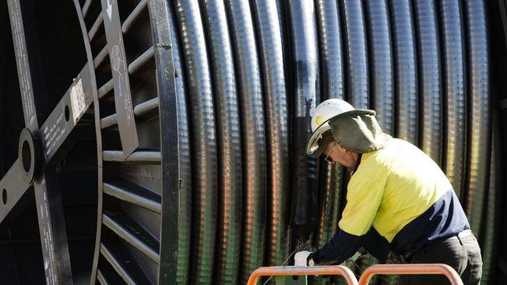 Ausgrid has become a flashpoint between China and Australia. Photo: Louie Douvis