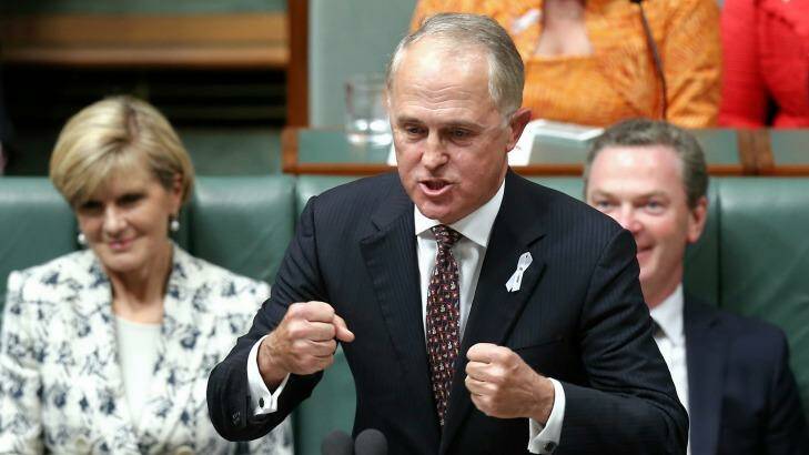 Malcolm Turnbull: The Lewis review has recommended the Minister for Communications be clear on the government's expectations of the ABC. Photo: Alex Ellinghausen