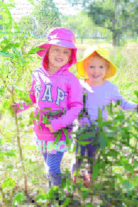 Sahra Hyne and Ella Howorth of Taree and District Preschool enjoy learning the names of the different trees found in the bush.