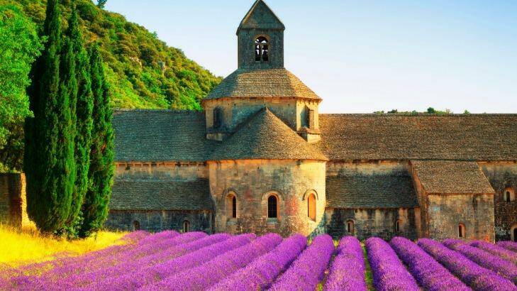 Purple reign: Field of lavender in Provence.  Photo: iStock