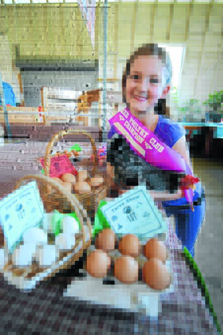 Seven-year-old Katie Tisdell with her ribbons and awards won at this year''s Taree Show. Katie has also won at State level. 