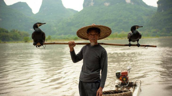 Cormorant fisherman in Xingping, Guangxi. Photo: Giulia Fiori