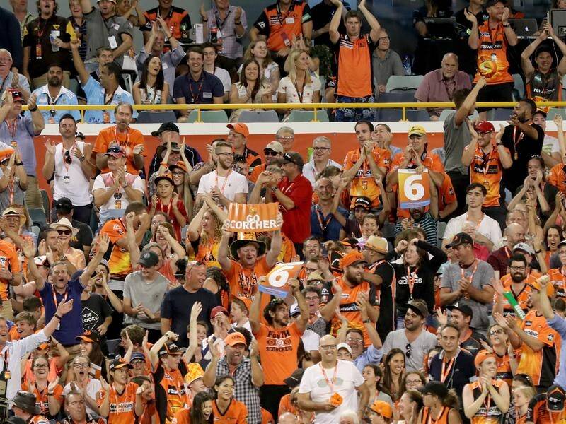 A parochial home crowd is expected when the Scorchers host the Hurricanes in their BBL semi-final.