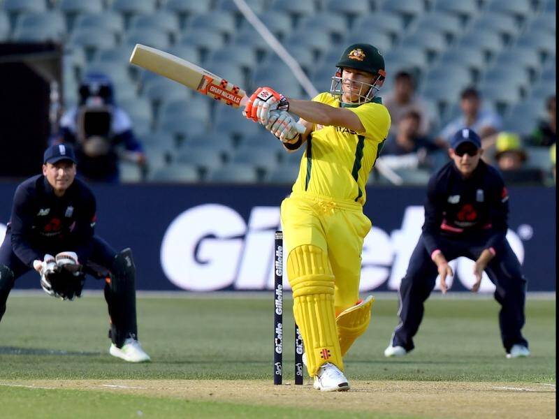 Stand-in captain David Warner wants to see Australia involved in more T20 tri-series tournaments.