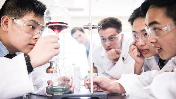 Some of the year 11 boys at Sydney Grammar School who have made an anti-malarial drug for $2 a dose. Photo: Nic Walker