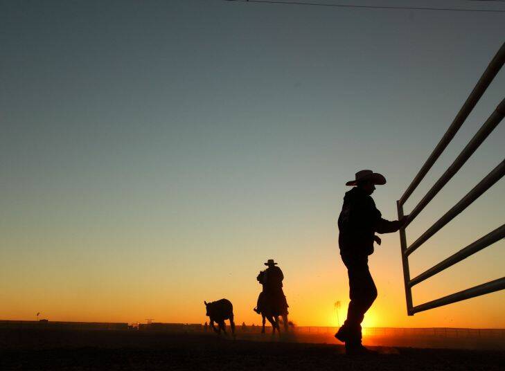 Fairfax News 18/06/10 - Hundreds have gathered at the remote Number 17 Bore on Brunette Downs in the Northern Territorys Barkly table land to attend the 100th Brunette Downs Bush Races.  Dawn breaks over the campdraft event.    Pic Glenn Campbell