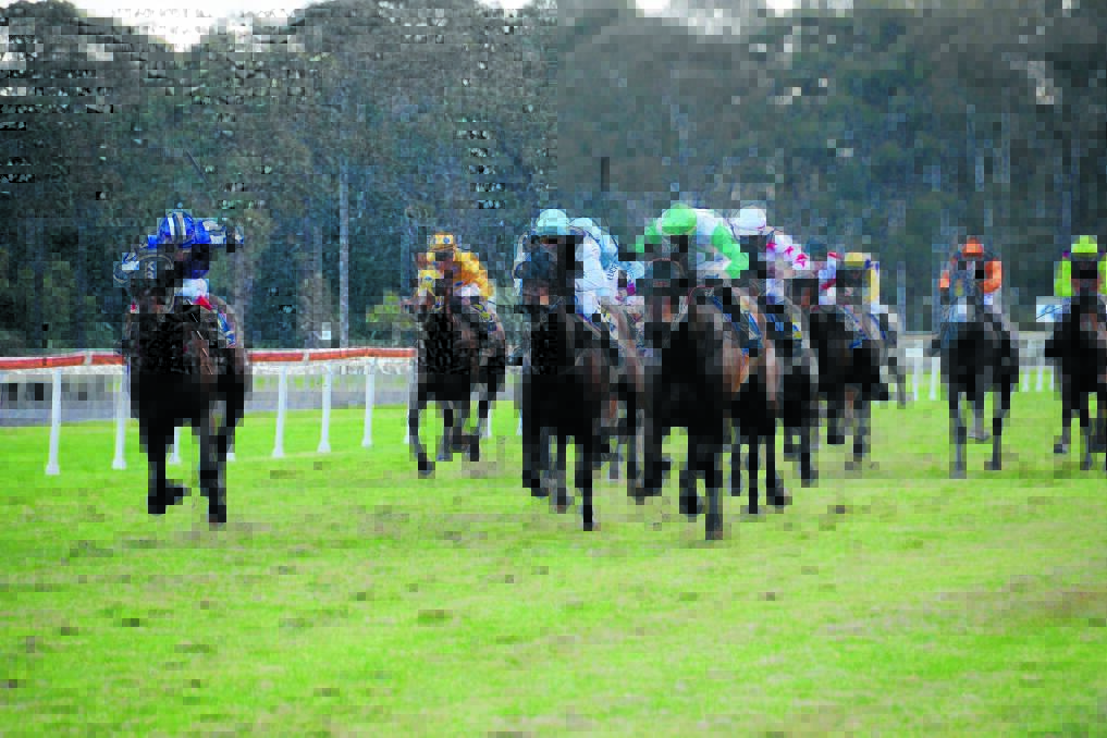 The field thunders home in this year's Taree Gold Cup at the Bushland Drive track. Port Macquarie Race Club will use Taree's facilities when work starts on the $3.7 million upgrade of their track.