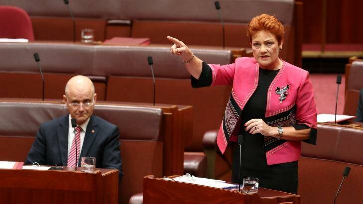 Senator Pauline Hanson benefited from a surge in popularity but the United Nations has warned against "normalising" her views. Photo: Alex Ellinghausen