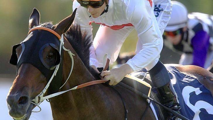 Strong chance: Messene will have Corey Brown on board in Saturday's Doncaster. Photo: Jenny Evans