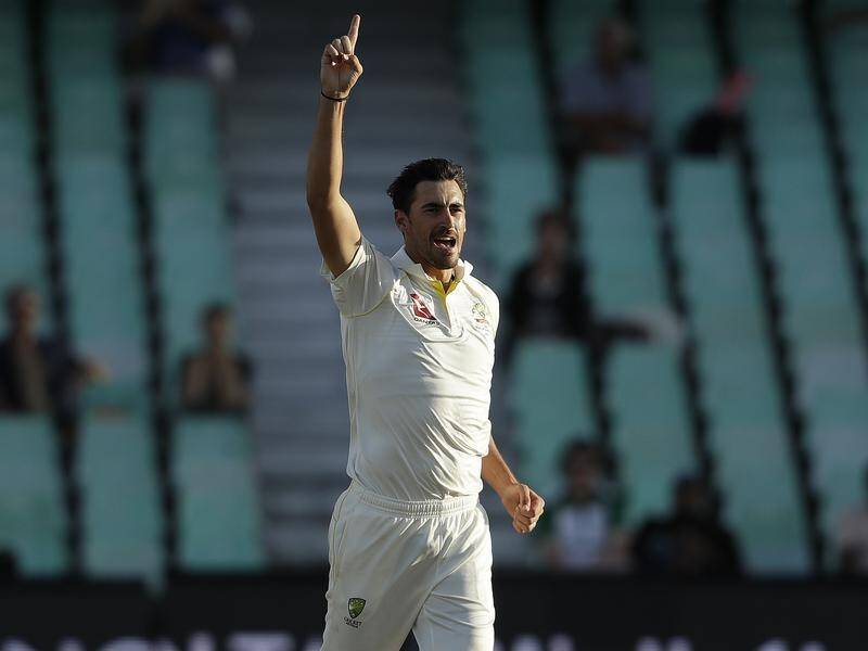 Paceman Mitchell Starc has leapt to a career-best fifth in the ICC Test bowling rankings.