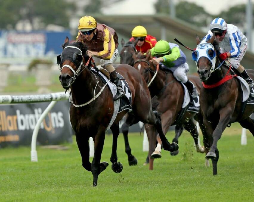El Roca pictured in action at Rosehill. Photo: Damian Shaw