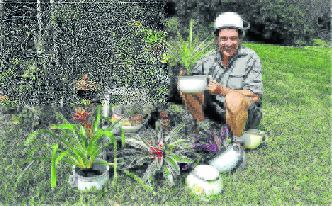 Killabakh gardener George Hoad is going potty over judging at the Wiingham Show.