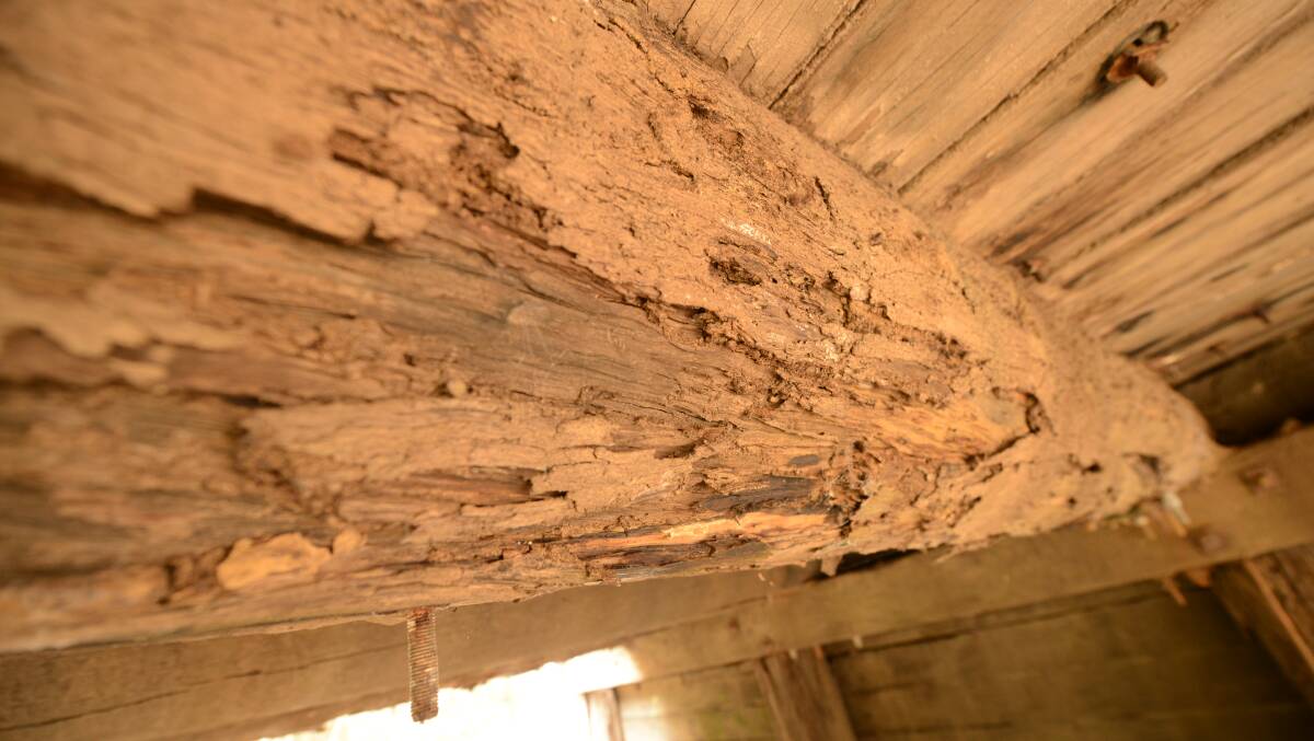 A close up of some of the deteriorating timbers under the Dyers Crossing bridge.