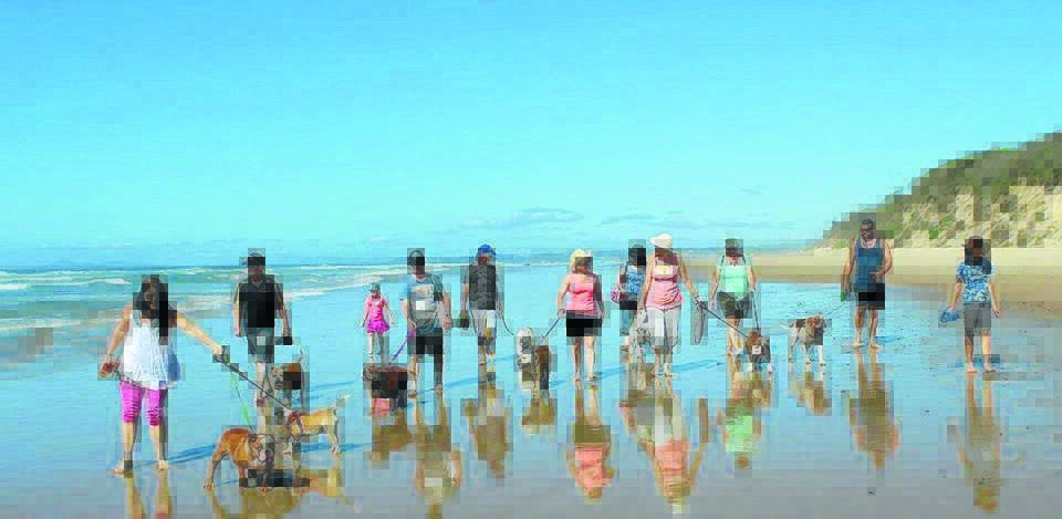 The third 'Bullie Walk' will take place this weekend at Old Bar Beach on Sunday from 10am. Local bulldog owners are invited to bring along their dog for a social walk along the beach.