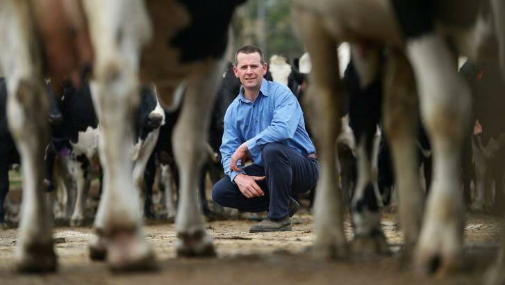 Australian Dairy Farmers board member Tyran Jones says maintaining farm gate prices would boost farmer confidence. Photo: Joe Armao JAA