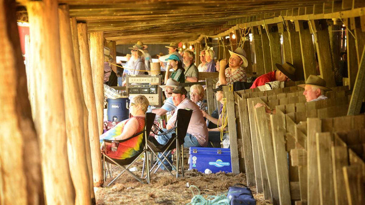 Lean times for iconic cattle shed