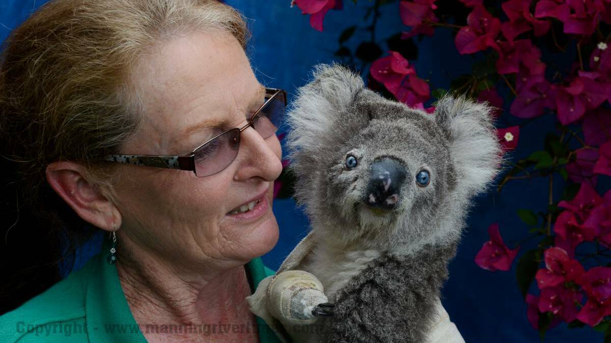 How to help local koalas | Story and Gallery 