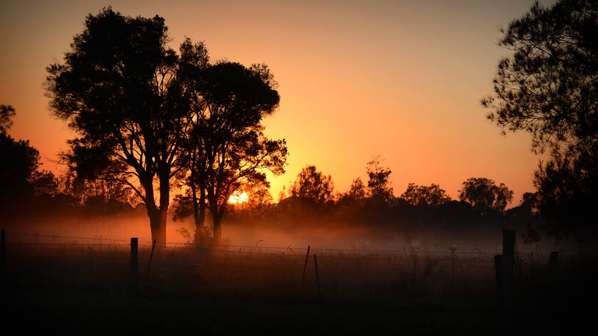 Daybreak on the Manning - Amateur apiarist