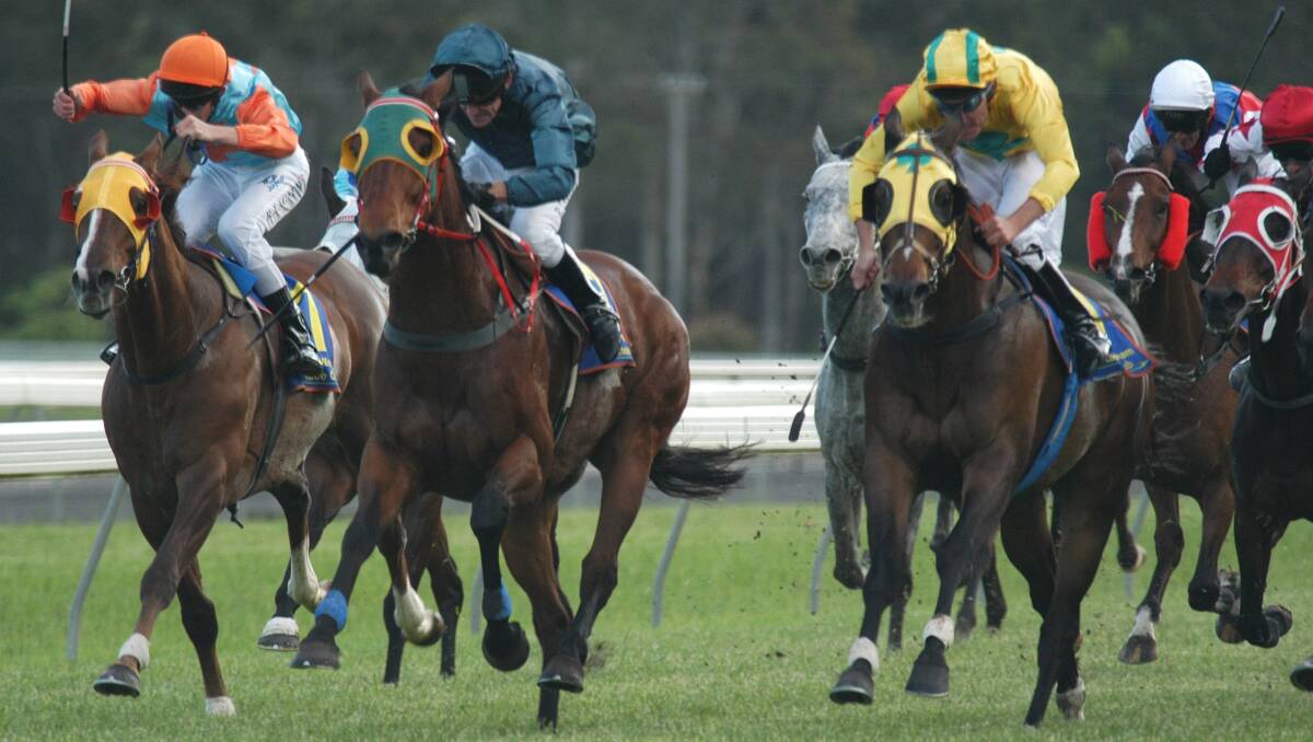 Hard Marker aims for fifth win in nine starts at Tuesday's Taree races