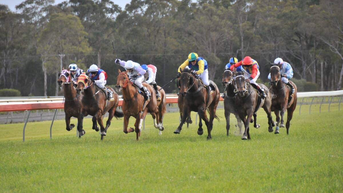 Visiting gallopers dominate  Taree Gold Cup nominations